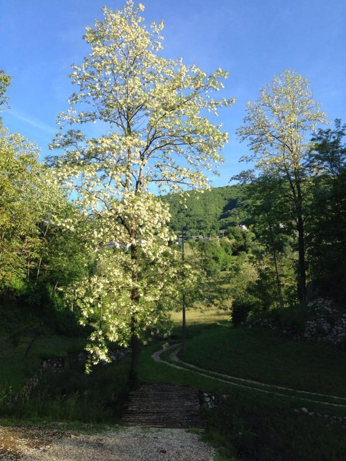 Villa Agriturismo Fattoria Togonegro à Marostica Extérieur photo