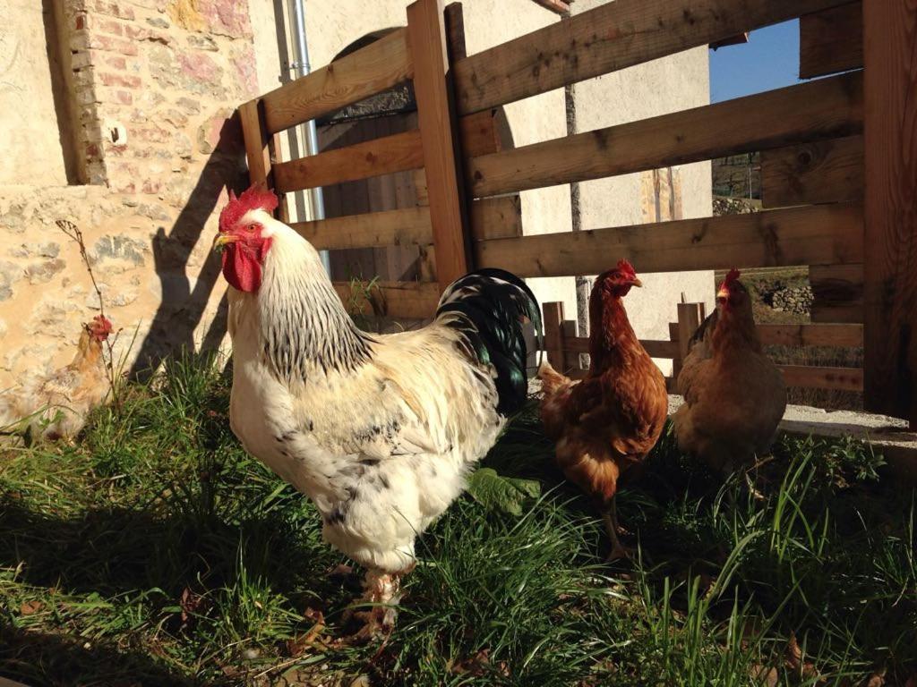 Villa Agriturismo Fattoria Togonegro à Marostica Extérieur photo