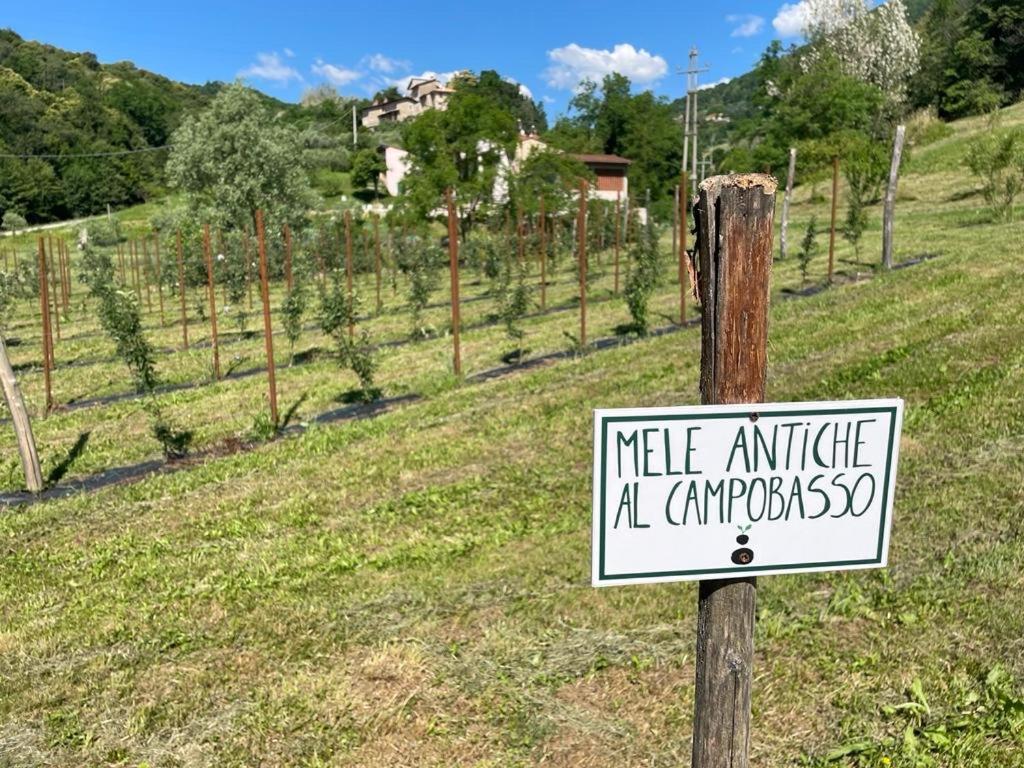 Villa Agriturismo Fattoria Togonegro à Marostica Extérieur photo